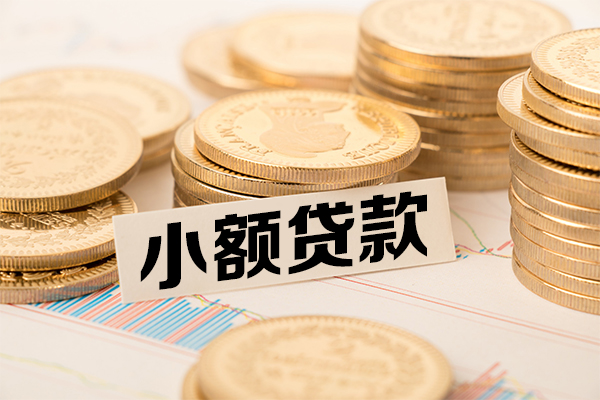 深圳大鹏新区小额贷款当天放款-深圳大鹏新区哪里可以信用贷款-深圳大鹏新区民间借贷